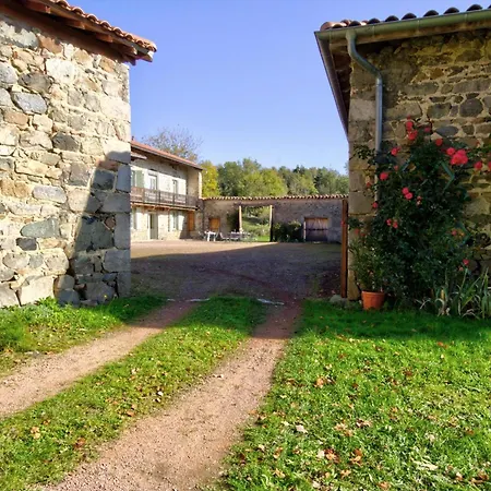 Grand De Caractere Pour 15 Pers. Avec Jardin A Lure - Fr-1-496-109 Lure (Loire)